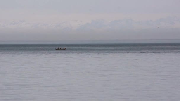 Le bateau dérive près du troupeau de plongeurs de dauphins et de mouettes volant sur fond de montagnes enneigées. Mer Noire Batoumi, Géorgie — Video