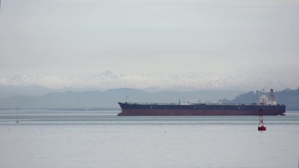 Un gran buque de carga fondeando sobre un fondo de montañas nevadas. Delfines flotantes. Mar Negro, Batumi, Georgia — Vídeo de stock