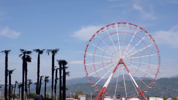 La rueda de la fortuna gira sobre el telón de fondo de palmeras y colinas verdes. Batumi, Georgia . — Vídeos de Stock
