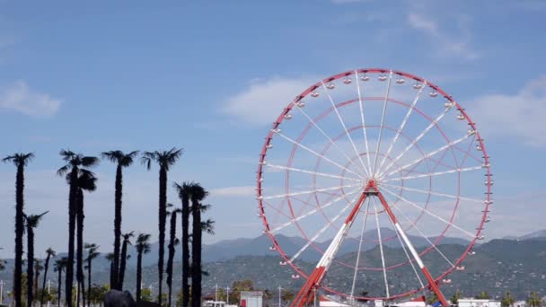 La grande roue tourne sur fond de palmiers et de collines verdoyantes. Batoumi, Géorgie . — Video