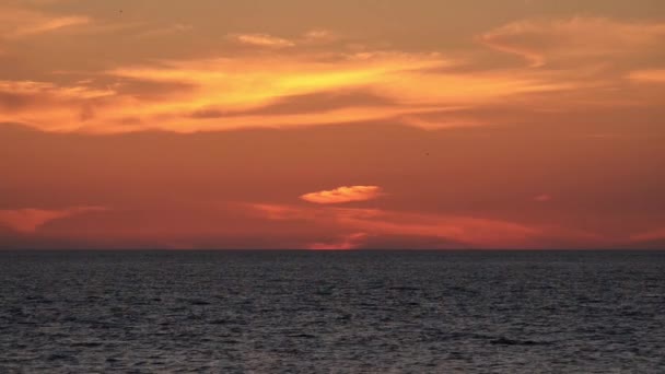 Beautiful sky with cirrus clouds and calm sea after sunset. — Stock Video