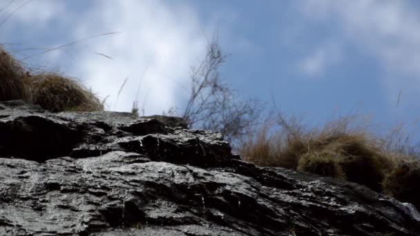Dunne stromen van water een klif op de achtergrond van gras en zwevende wolken rolden. Gveletskie watervallen — Stockvideo