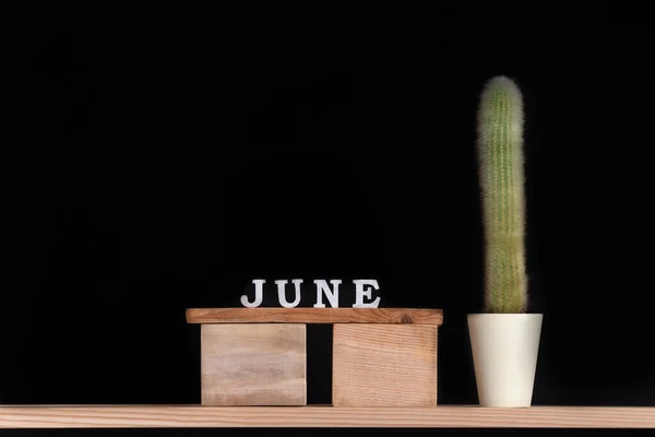 Calendarul Din Lemn Din Iunie Cactus Fundal Negru Mock — Fotografie, imagine de stoc