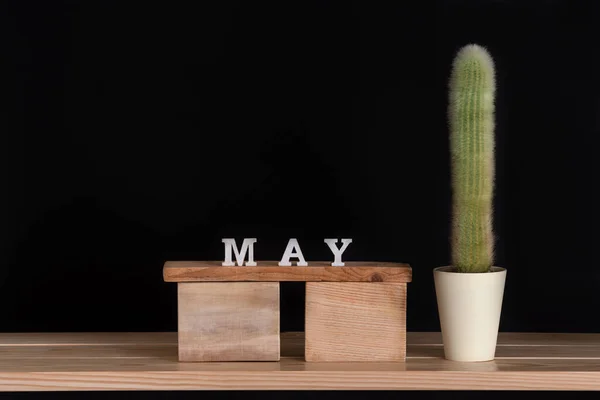 黒を背景に5月とサボテンの木のカレンダー モックアップ — ストック写真