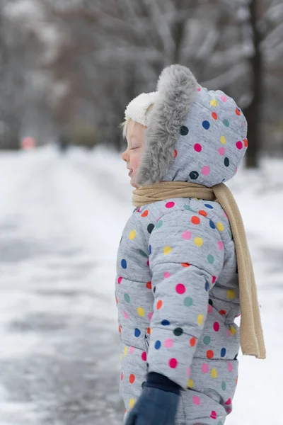 Portrét Dítěte Zimním Sněžném Obleku Procházku Parku Svislý Rámec — Stock fotografie