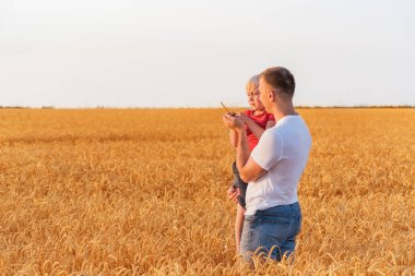Baba oğlunu kollarında olgun buğday tarlasında tutuyor. Kırsalda hafta sonu.