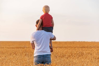 Baba ve oğul olgun buğday tarlasında. Babalar Günü. Üretim kavramı.