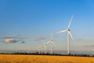 Sarı bir tarlada mavi gün batımına karşı yel değirmenleri. Alternatif enerji kaynakları.