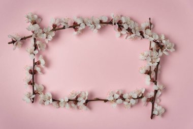 Çiçekli dallar, pembe arka planda kare çerçeveli beyaz çiçekler. Şablon. Arkaplan. .