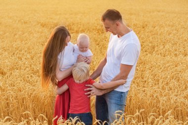 Genç anne, baba ve iki çocuk buğday tarlasında. Mutlu aile kırsalda birlikte vakit geçirir..