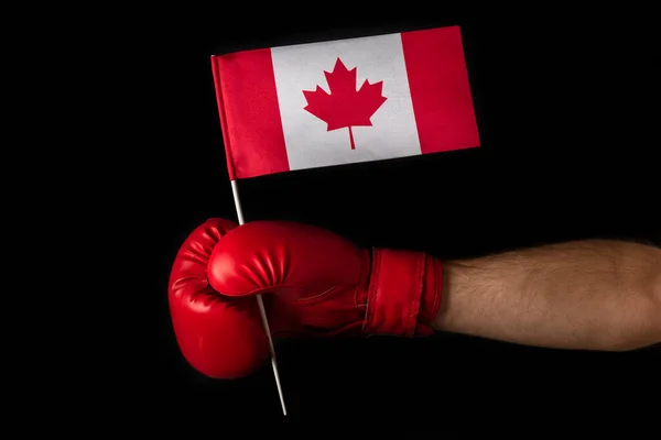 Boxeador Sostiene Bandera Canadá Guante Boxeo Con Bandera Canadiense Fondo — Foto de Stock