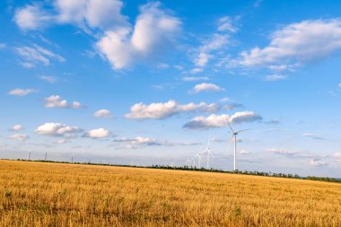 Sarı tarla ve yel değirmenli mavi bulutlu gökyüzü. Alternatif enerji kaynakları.