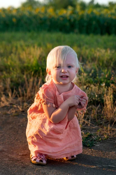 Retrato Niña Rubia Vestido Rosa Afuera Marco Vertical Vida Rural —  Fotos de Stock