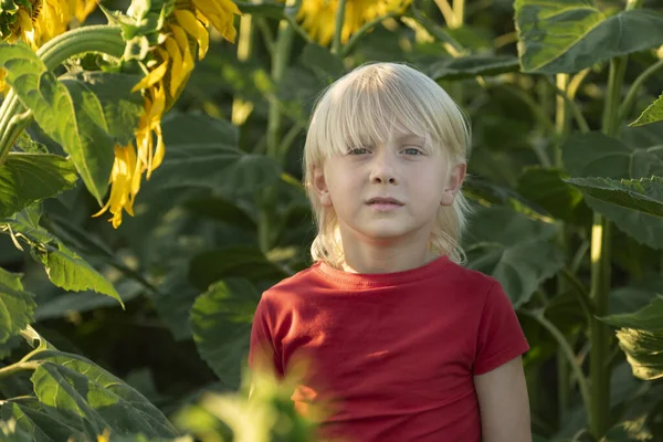 Retrato Del Chico Pelo Rubio Campo Girasol Infancia Despreocupada Niño —  Fotos de Stock