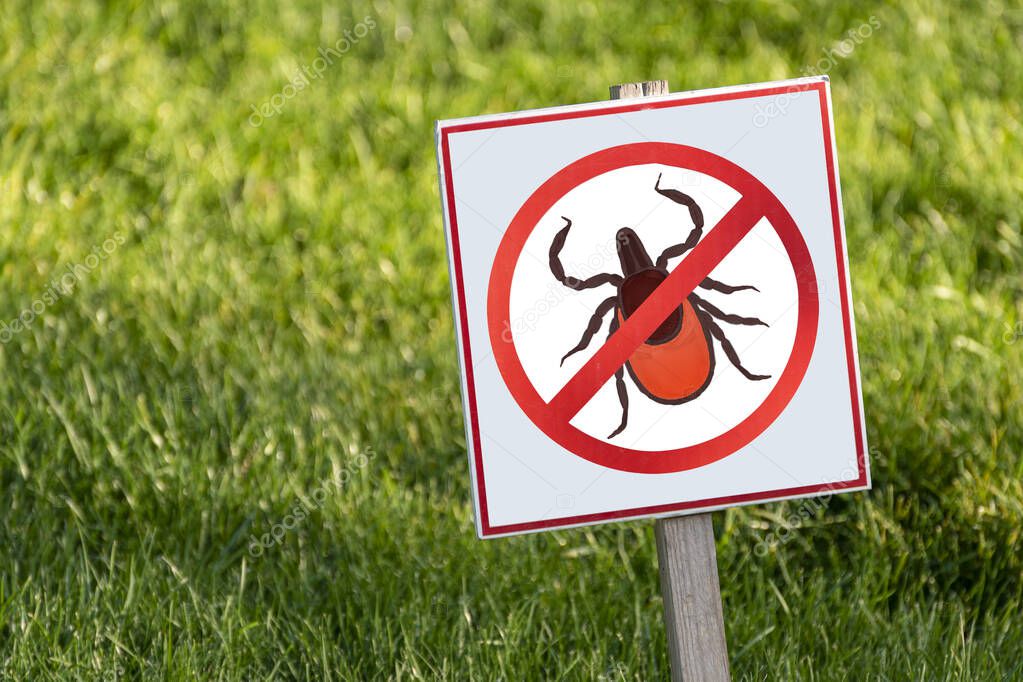 Lawn is protected from insects. Insecticides. Carefully mites. Insect control.