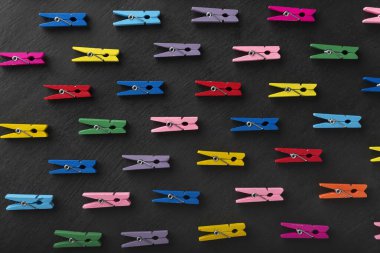 Parlak renkli mandalların en üst görüntüsü. Siyah arka plan. Seçim çeşitliliği.