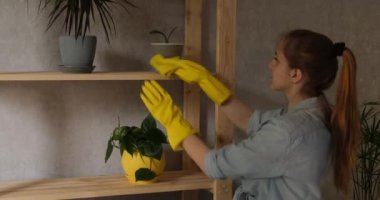 Ev hanımı raftan, raftan tozu siliyor. Kız daireyi temizliyor. Ağır çekim. Doğal ışık.
