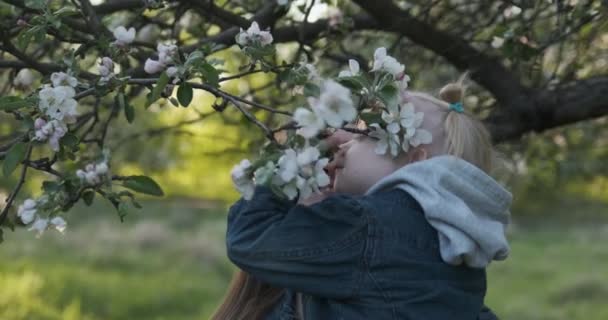 Jovem mãe segurando filha em seus braços e cheirar árvore florescendo. Mãe e bebê no pomar de maçã florescendo. — Vídeo de Stock