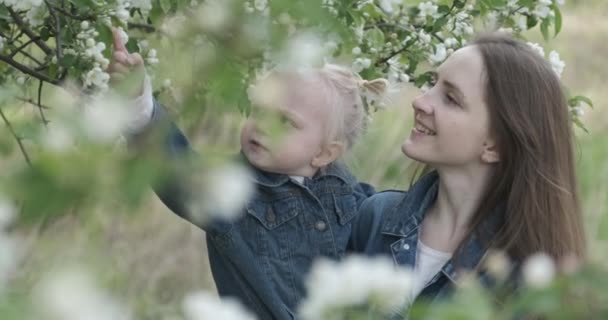 Mather con su pequeña hija en sus brazos en el parque por los árboles que florecen. Niño con mamá en el jardín. — Vídeo de stock