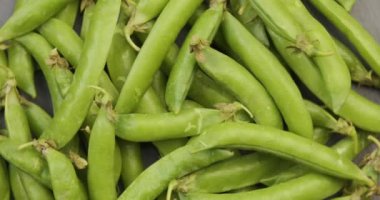 Kabuklardaki çiğ bezelyeler kapanıyor. Üst Manzara. Döndürme video. Döngü hareketi. 