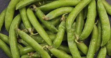 Taze bezelye kabukları kapanıyor. Üst Manzara. Taze toplanmış taze bezelyeler. Döndürme video. Döngü hareketi.