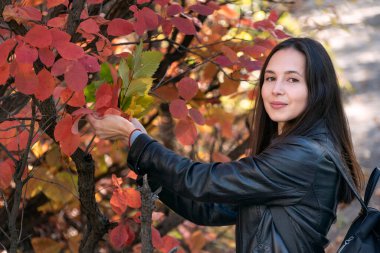 Koyu saçlı kızın portresi. Kırmızı yapraklı ağacın yanında. Ormandaki güzel genç kadın