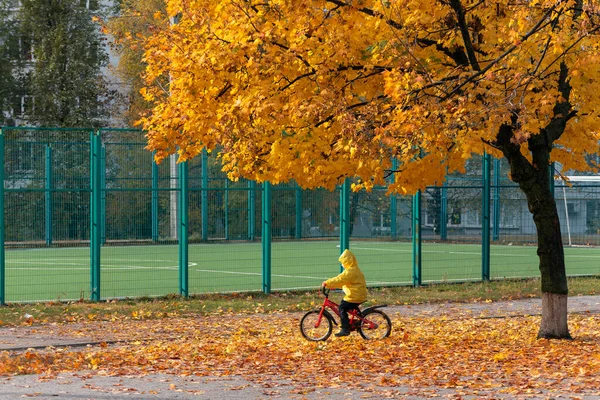 Niño Impermeable Amarillo Una Bicicleta Bajo Gran Árbol Amarillo Día — Foto de Stock