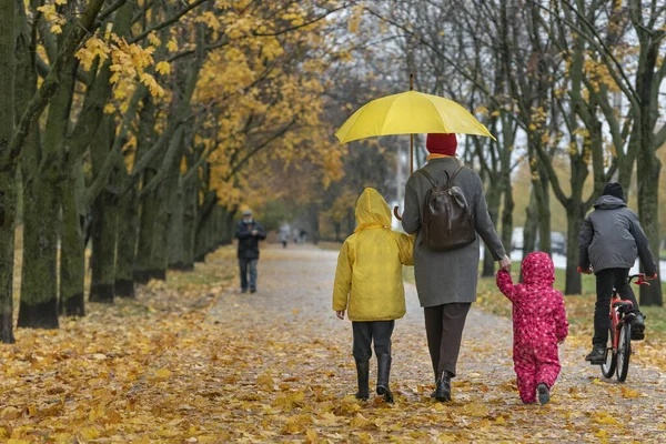 Mamá Sus Hijos Están Caminando Por Callejón Con Hojas Amarillas — Foto de Stock