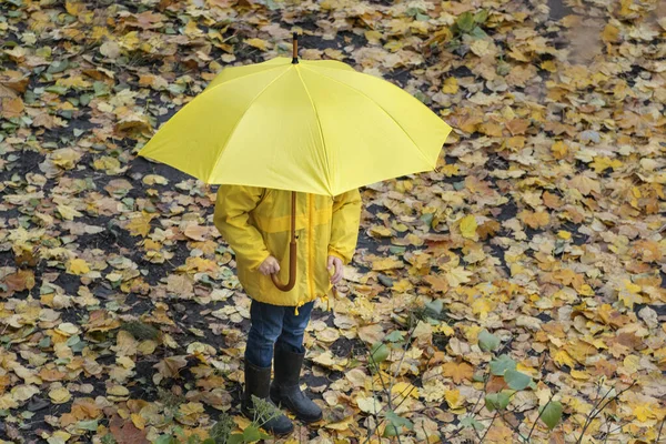 Child Rain Park Large Yellow Umbrella Fallen Leaves Background Top — Stock Photo, Image