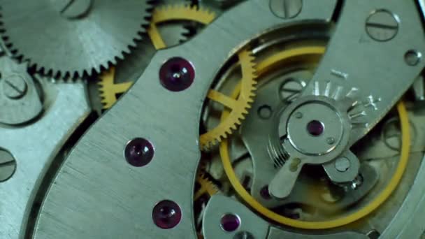 Het werkingsmechanisme van een zakhorloge — Stockvideo