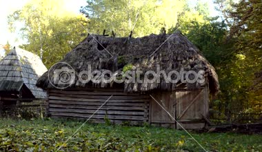 Eski ahşap harap thatched çatı ile döken bahçesinde kedi arasında gezinme