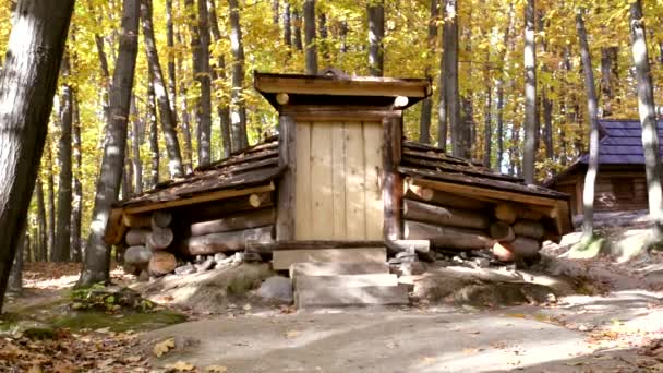 Horské dřevěné dočasné bydlení v Karpatských lesů, Ukrajina — Stock video