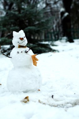 Çam ağaçları arka plan üzerinde kardan adam ile sonbahar yaprakları