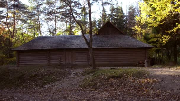 Trä sluten innergård i skogen — Stockvideo