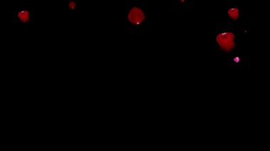 Gül yaprakları arka plandan düşüyor, bilgisayarın aşk ve sevgililer günü arkaplan konsepti grafiği