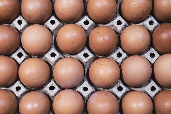 Arkaplan kullanımı için yumurta tepsisi üst görünümü