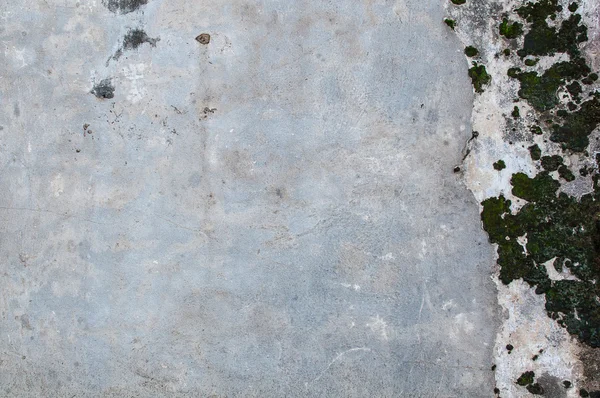Textura antigua pared de cemento —  Fotos de Stock