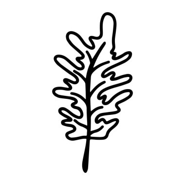 Beyaz arka planda izole edilmiş yabani tropikal yaprak taşıyıcısı. Meşe yaprağı boyama ve mevsimlik tasarım, tekstil, dekorasyon çocuklar için oyun odası ya da tebrik kartı için hoş bir illüstrasyon. El çizimleri ve karalama.