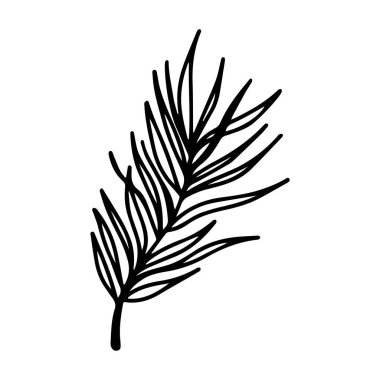 Vector deniz dikeni ve zeytin yaprakları beyaz arka planda izole. Tropikal yaprak boyama ve mevsimsel tasarım, tekstil, dekorasyon çocukları oyun odası veya tebrik kartı için hoş bir illüstrasyon. El çizimi sanat