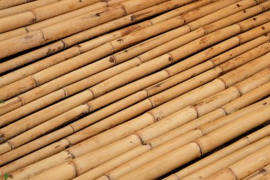 Doğal kahverengi bambu yığınları