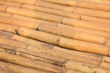 Doğal kahverengi bambu yığınları