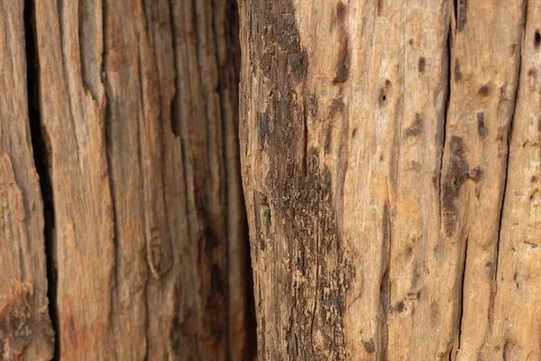 Textura natural de madera marrón — Foto de Stock