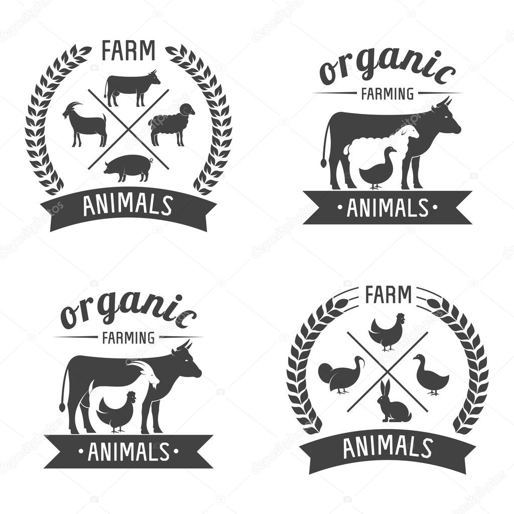 Vector Illustration logos and badges farm animals isolated or white background