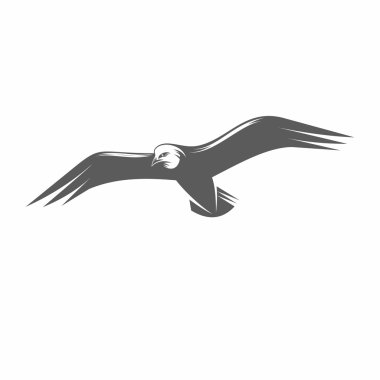 Seagull in flight black and white vector illustration
