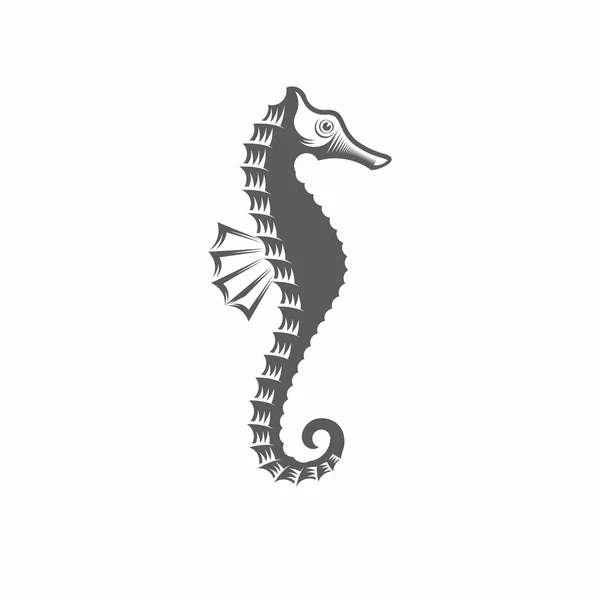 Seahorse black and white vector illustration — Stock Vector