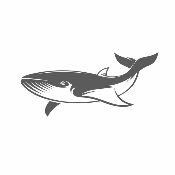 Whale in water black and white vector illustration — Stockový vektor