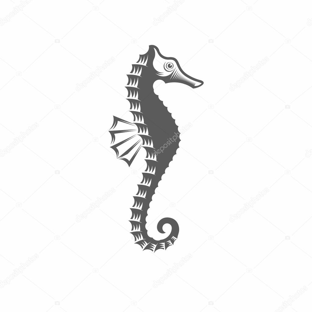 Vector illustration of a seahorse in the old-fashioned style and line-art style. Can be used as a tattoo