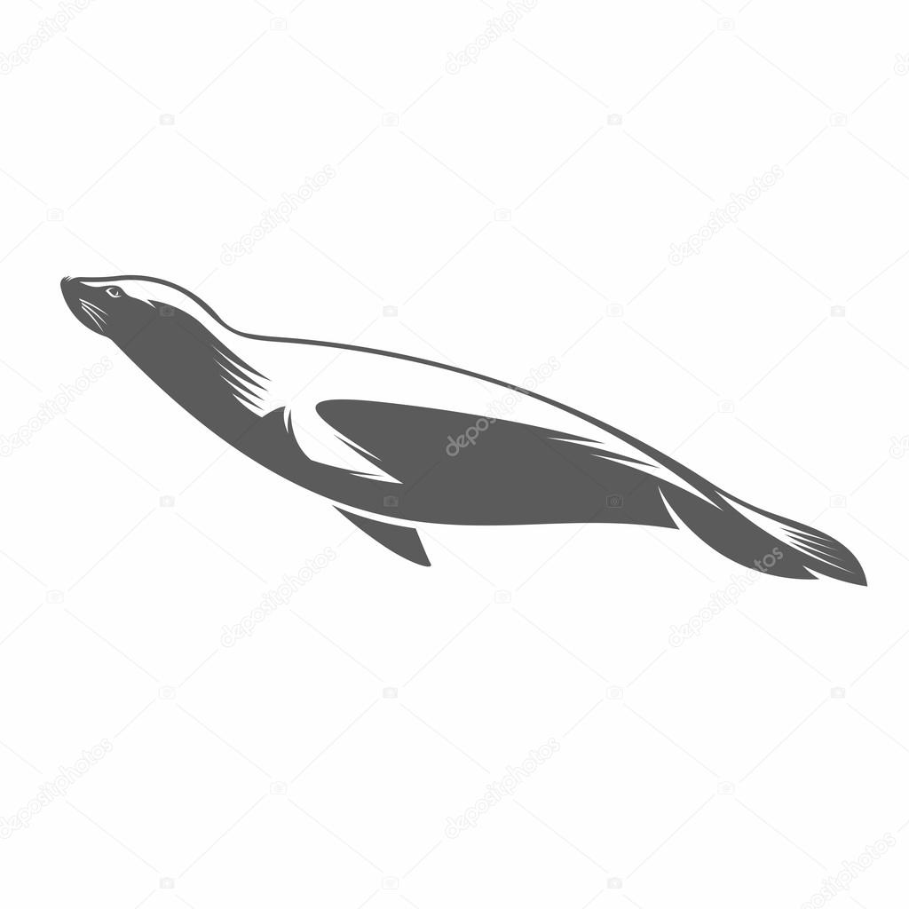 Fur seal in water black and white vector illustration
