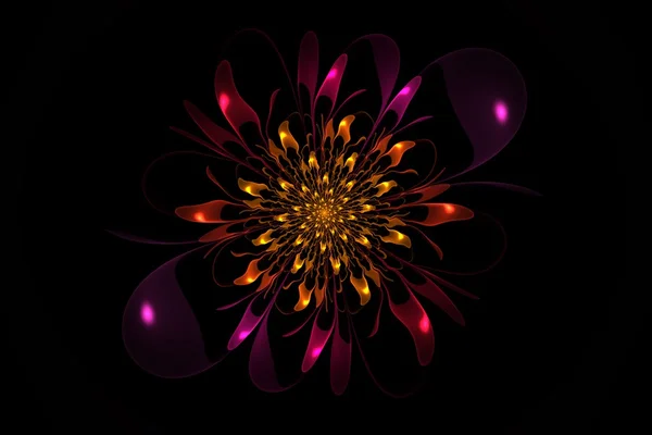 Aster. Creado en Apophysis —  Fotos de Stock