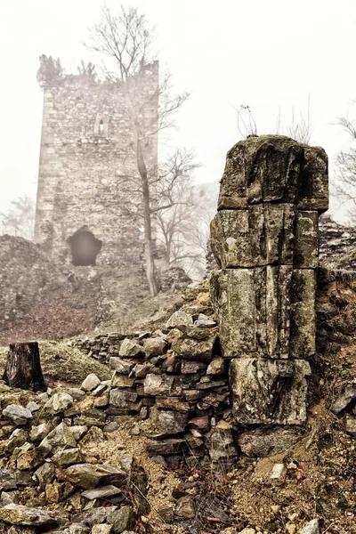 Eski kale duvarları ayrıntıları — Stok fotoğraf